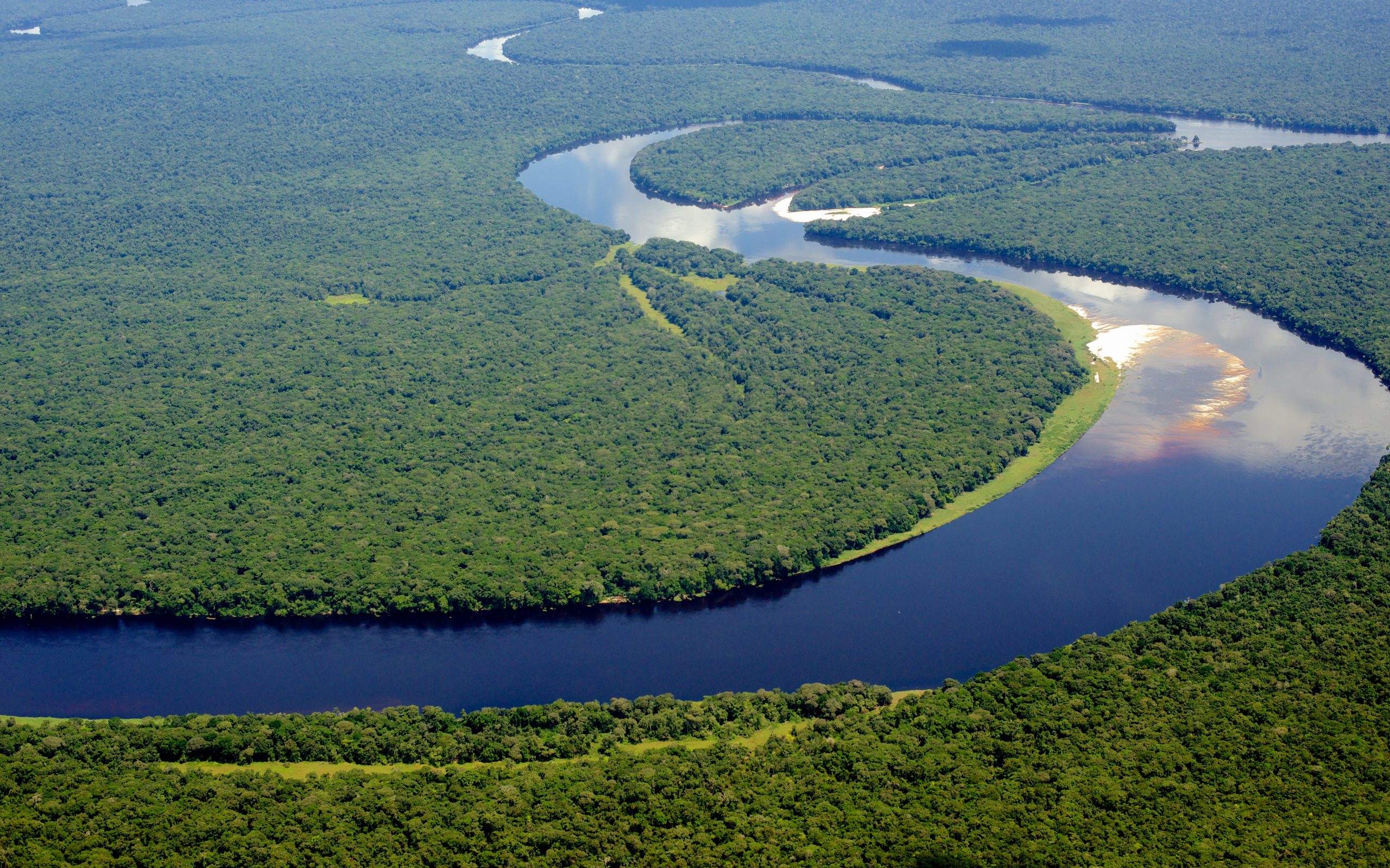 Реки полноводные весь год. Река Конго в Африке. Конго Заир река. Река Конго национальный парк Салонга. Национальный парк Салонга в Африке.