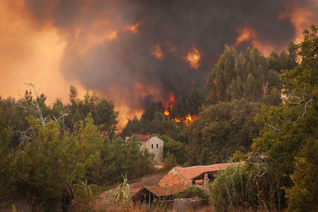 Intense wildfires in Europe