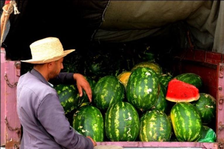 https://www.moroccoworldnews.com/2017/04/215337/moroccan-health-office-no-watermelon-fertilized-human-waste