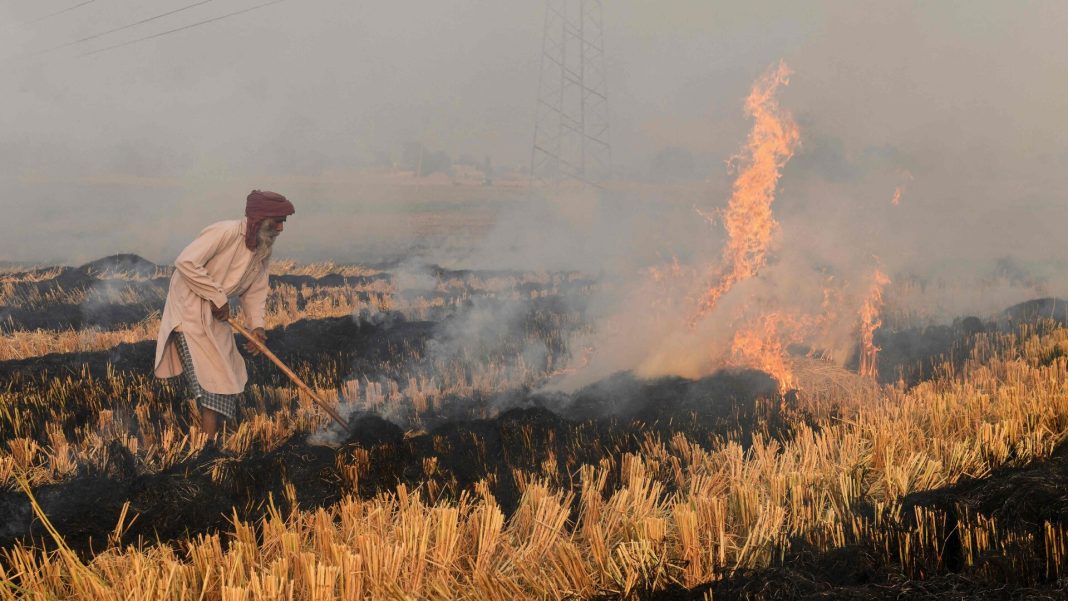 https://www.thenationalnews.com/world/2021/11/28/indias-farmers-back-stubble-burning-law-change-but-urge-give-us-a-substitute/